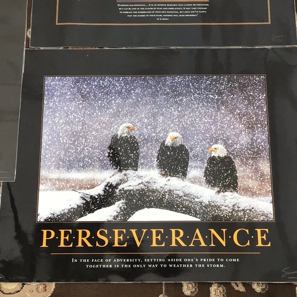 Set of 5 Successories Full Size Laminated Motivational Posters - Picture 2 of 6